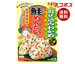 lR|X ۔ ݂킩 ߂񂽂 29g×10ܓb S }~ ӂ肩 ݂͂̑f  q