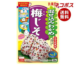 lR|X ۔ ݂킩 ~ 29g×10ܓb S ʐHi  ӂ肩 ݂͂̑f