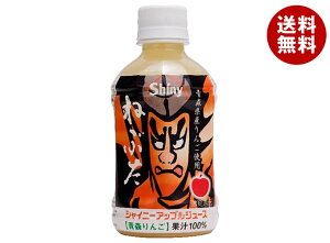 青森県りんごジュース ねぶた りんごジュース 280mlペットボトル×24本入×(2ケース)| 送料無料 りんご リンゴ 林檎 アップル PET 果汁 ジュース フルーツ