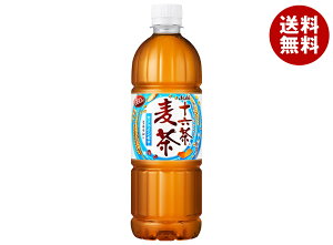 ATq \Z 660mlybg{g×24{b  uh  mJtFC JtFC[