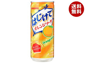 TKA ͂ăIW\[_ 250g×30{×(2P[X)b  Y_ IW 