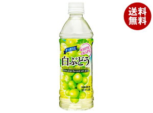 TKA ƔԂǂ 500mlybg{g×24{×(2P[X)b  ʏ` ʎ Ԃǂ O[v PET