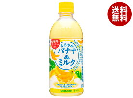 サンガリア まろやかバナナ&ミルク 500mlペットボトル×24本入｜ 送料無料 乳性 果汁 バナナ ミルク