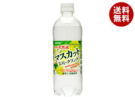 サンガリア 伊賀の天然水 マスカットスパークリング 500mlペットボトル×24本入×(2ケース)｜ 送料無料 マスカット ぶどう ブドウ 炭酸 炭酸水