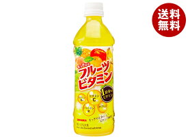 サンガリア すっきりとフルーツビタミン 500mlペットボトル×24本入｜ 送料無料 果汁 果実 ミックスジュース