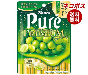 ネコポス カンロ ピュレグミプレミアム シャインマスカットスパークリング 54g×6袋入| 全国送料無料 お菓子 駄菓子 Pure ぐみ マスカット