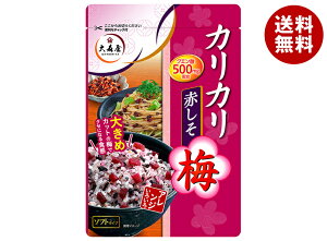 大森屋 カリカリ梅赤しそ 40g×10袋入×(2ケース)| 送料無料 梅 うめ ウメ しそ ふりかけ クエン酸 赤紫蘇