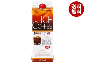 ジーエスフード GS アイスコーヒー 加糖 1000ml紙パック×12本入×(2ケース)| 送料無料 珈琲 アイスコーヒー 加糖 濃いめ