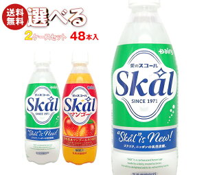 南日本酪農協同 スコール 選べる2ケースセット 500mlペットボトル×48(24×2)本入| 送料無料 炭酸飲料 PET 果実 マンゴー