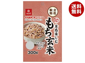 [|Cg5{ISiΏۃGg[&w]͂΂ ՂƐHy  300g×8ܓb  ʐHi  I[c 