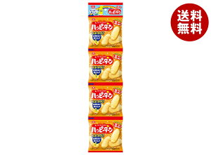Tc nbs[^[~j4A 60g(15g×4)×10ܓ×(2P[X)b  ׂ َq ĉ   ܂