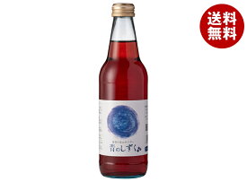 Ante(アンテ) 能登の里山サイダー 青のしずく 340ml瓶×24本入｜ 送料無料 炭酸 サイダー 瓶 ブルーベリー