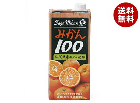 JAビバレッジ佐賀 みかん100 1L紙パック×6本入｜ 送料無料 果汁 みかん オレンジジュース 100% 温州みかん