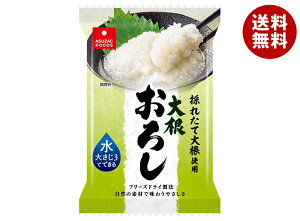 AXUbNt[Y t[YhC 卪낵 4.9g×20ܓb  CX^g t[YhC  