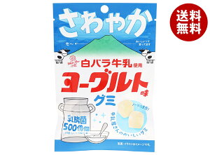 ACfApbP[W ogp [OgO~ 40g×10ܓb  َq O~ _ۓ o