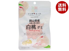 JA全農 ニッポンエール 岡山県産白桃 グミ 40g×10袋入｜ 送料無料 お菓子 グミ 国産 日本産 全農