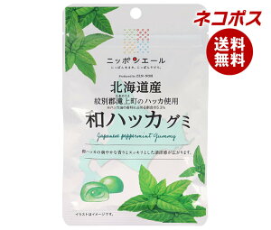 lR|X JAS_ jb|G[ kCYanbJ O~ 40g×10ܓb S َq O~ Y {Y S_