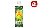アサヒ飲料 三ツ矢 スーパーストロングレモン 570mlペットボトル×24本入×(2ケース)｜ 送料無料 三ツ矢 レモン 檸檬 フルーツ 強炭酸