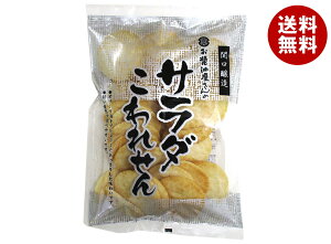 関口醸造 サラダ こわれせん 158g×12袋入 メーカー 問屋直送| 送料無料 せんべい 煎餅 サラダせんべい サラダ 菓子