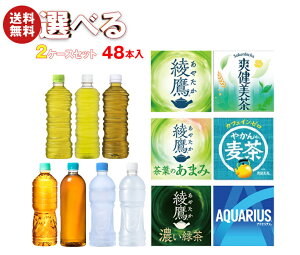 RJR[ xX Iׂ2P[XZbg 525mlybg{g×48(24×2){(ꕔA500ml`650mlPET܂) [J[b  u  ₩̔ X|[chN eco