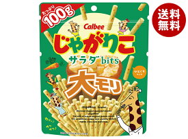 カルビー じゃがりこ サラダbits 大モリ 100g×12袋入 メーカー 問屋直送｜ 送料無料 お菓子 スナック菓子 じゃがいも ジャガリコ
