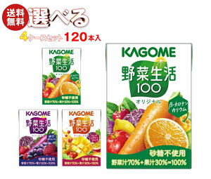 JS ؐ100 Iׂ4P[XZbg 100mlpbN×120(30×4){b  ؃W[X IWi x[T_ }S[T_