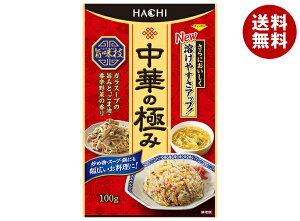 ハチ食品 中華の極み 100g×12袋入| 送料無料 中華 スープ 調味料