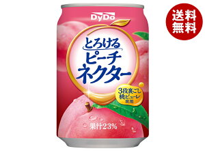 _Ch[ Ƃ낯s[`lN^[ 270g×24{b  ʎ s[`  lN^[  