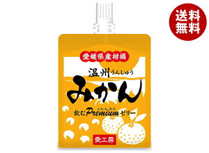 愛工房 飲むぷれみあむゼリー 温州みかん 180gパウチ×30本入×(2ケース)| 送料無料 果実飲料 みかん ゼリー飲料