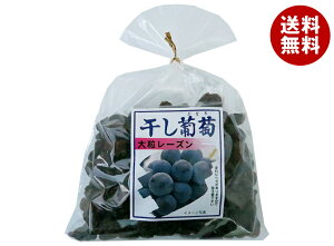 [|Cg5{ISiΏۃGg[&w]iKgN  嗱[Y 370g×5ܓb  ʎ hCt[c [Y Ԃǂ uhE