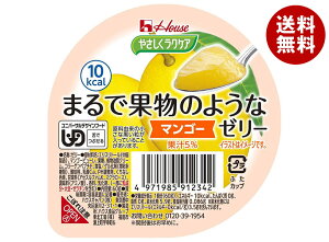 nEXHi ₳NPA ܂ŉʕ̂悤ȃ[[ }S[ 60g×48×(2P[X)b  PAt[h  J[ H łԂ