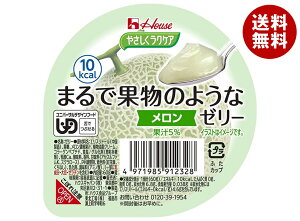 ハウス食品 やさしくラクケア まるで果物のようなゼリー メロン 60g×48個入×(2ケース)| 送料無料 ケアフード ゼリー 果物 ラクケア デザート 区分3 介護食