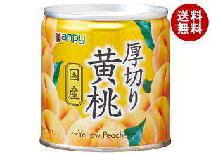 Js[ Y؂艩 195g×12b  ʐHi ʕ  