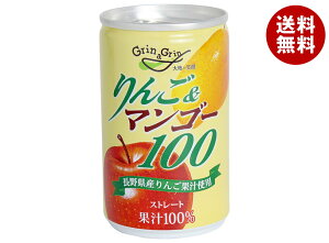 ���싻�_ ���&�}���S�[ 160g��×20�{���b �������� �ʎ����� �ʏ`100% �A�b�v�� �~�b�N�X