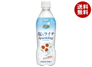 _Ch[ ~XeBI ƃC`Xp[NO 410mlybg{g×24{b  MǑ΍ Y_  C` Xp[NO