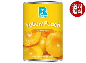 u[XJC CG[s[`(n[t) 4 420g×24×(2P[X)b  ʋl u[x[ t[c