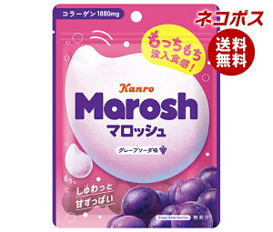 lR|X J }bV O[v\[_ 50g×6ܓb S َq }V}  Ԃǂ