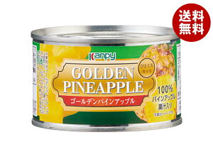 Js[ S[fpCAbv ЂƂJbg(pCAbvʏ`Â) 225g×24×(2P[X)b  ʋl Â t[c ʎ  VbvЂ TCY