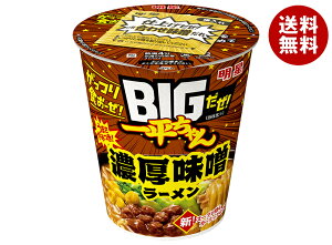 Hi BIG!ꕽ ZX[ 97g×12b  [ Jbv CX^g 