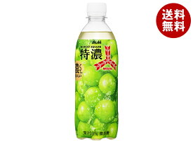 アサヒ飲料 三ツ矢 特濃マスカットスカッシュ 500mlペットボトル×24本入｜ 送料無料 炭酸飲料 マスカット フルーツ