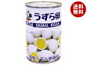 [ポイント5倍！4/17(金)9時59分まで全品対象エントリー&購入]天狗缶詰 うずら卵 水煮 国産 JAS 7号缶 150g缶×24個入…