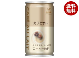 xif _ˋn JtFI 185g×30{×(2P[X)b  ʃR[q[ 