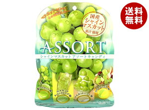 { VC}XJbg A\[g LfB 85g×10ܓb  َq    Y ʏ` }XJbg t[c LfB[