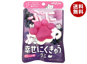 { KɂイO~ O[v 30g×6ܓ×(2P[X)b  َq O~  ʏ`  GAC ɂイO~ O[v