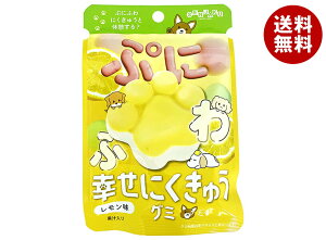 { KɂイO~  30g×6ܓb  َq O~  ʏ`  GAC ɂイO~ 