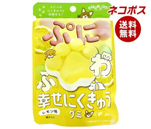 lR|X { KɂイO~  30g×6ܓb S َq O~  ʏ`  GAC ɂイO~ 