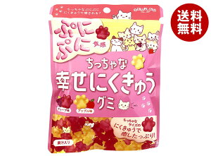{ ȍKɂイO~ 70g×6ܓb  َq O~  ʏ`  GAC ɂイO~ O[v Abv A\[g
