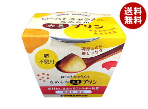 }NHi 哤v [XgL 100g×12b  fU[g mَq v 哤 sgp L