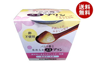 }NHi 哤v oj 100g×12b  fU[g mَq v 哤 sgp Î