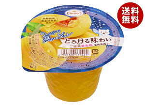  Ƃ낯閡킢 J 200g×24(6×4)×(2P[X)b  [[   t[c َq 